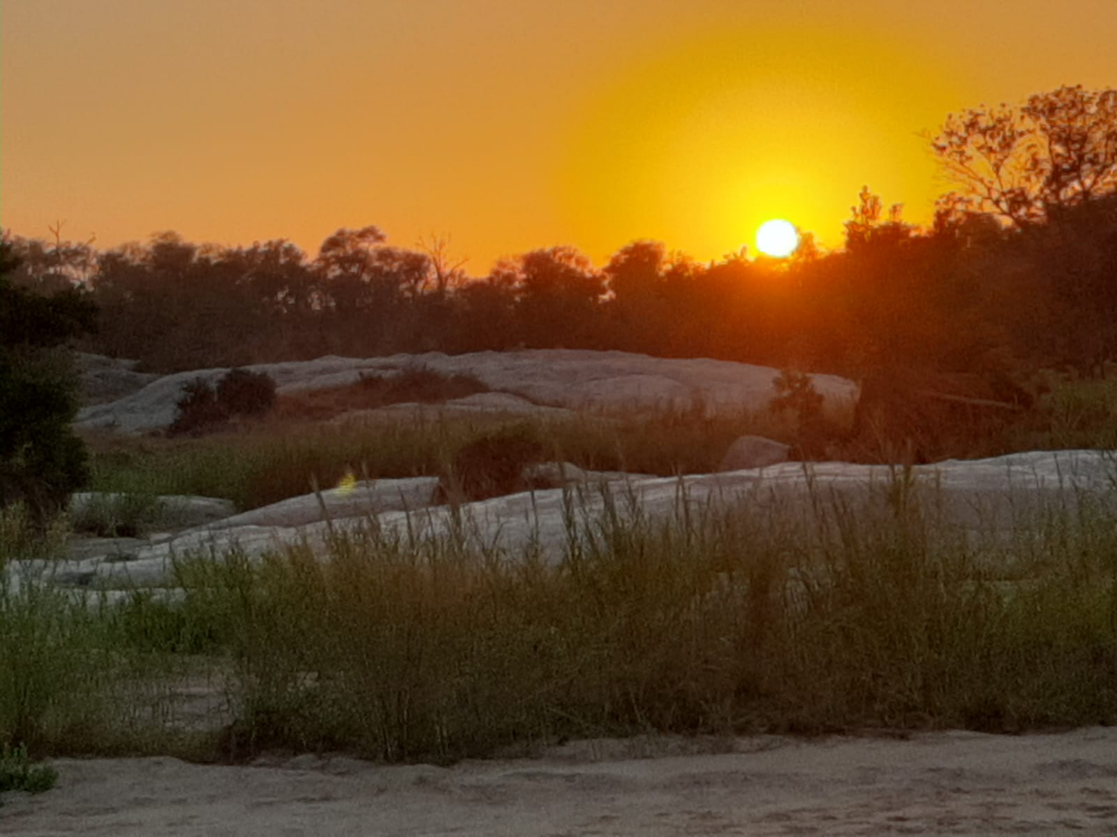 Kruger - Sonsondergang