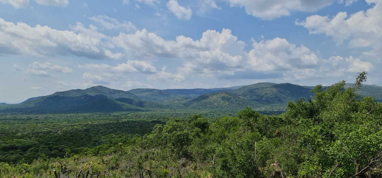 Look Out - Wide Angle