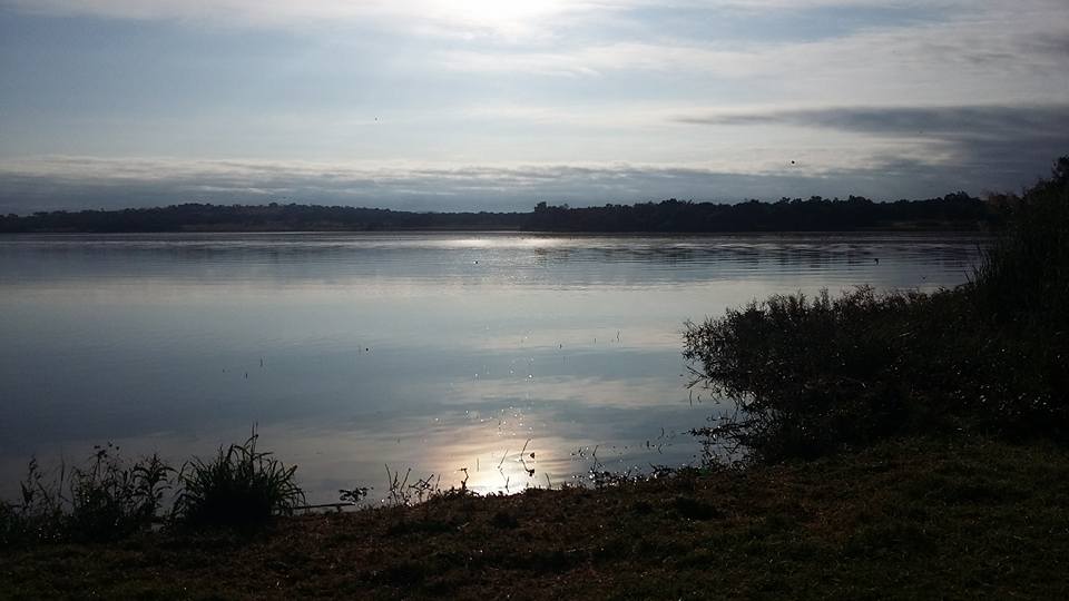 12961727_849935285130023_4712411928083102240_n