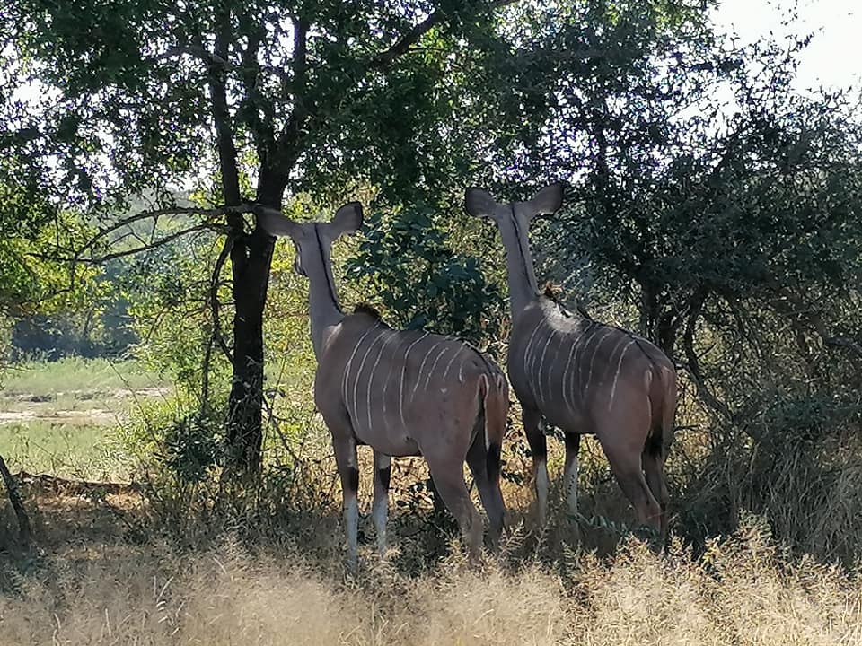 190892133_3746598485463674_7815535937757741404_n