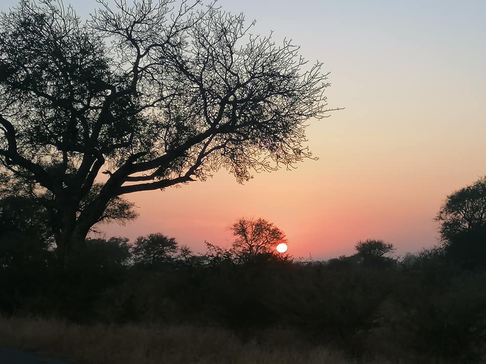 191257316_3746597722130417_2336021814082648316_n