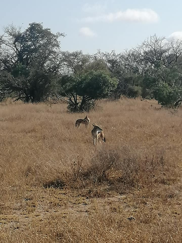 191563256_3746598158797040_3029529505541789428_n