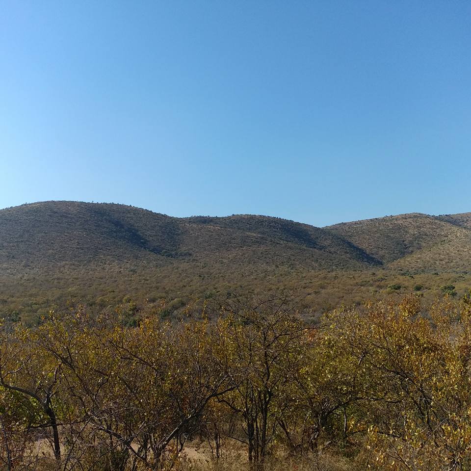 19511315_1227471217376426_5192296716789835254_n