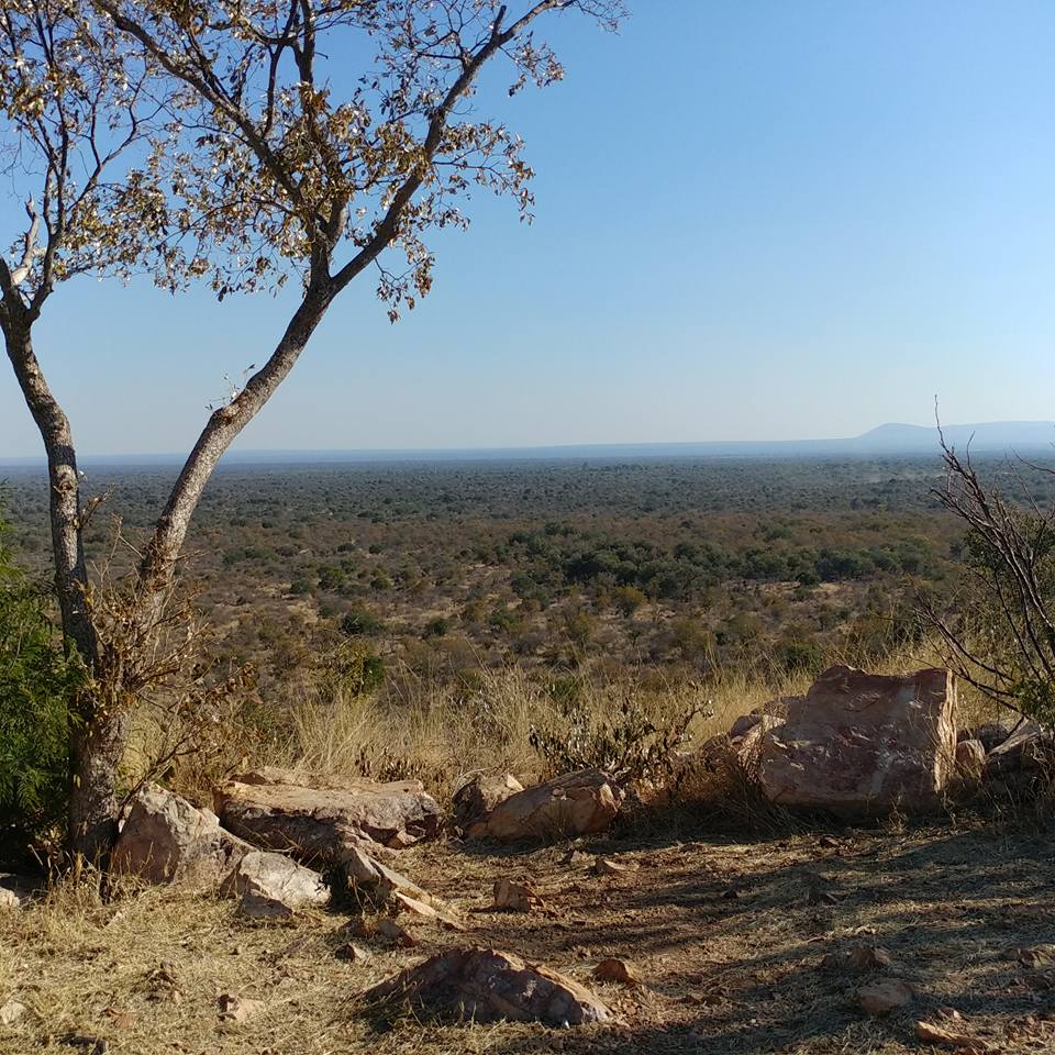 19553931_1227471250709756_4824266252581574445_n