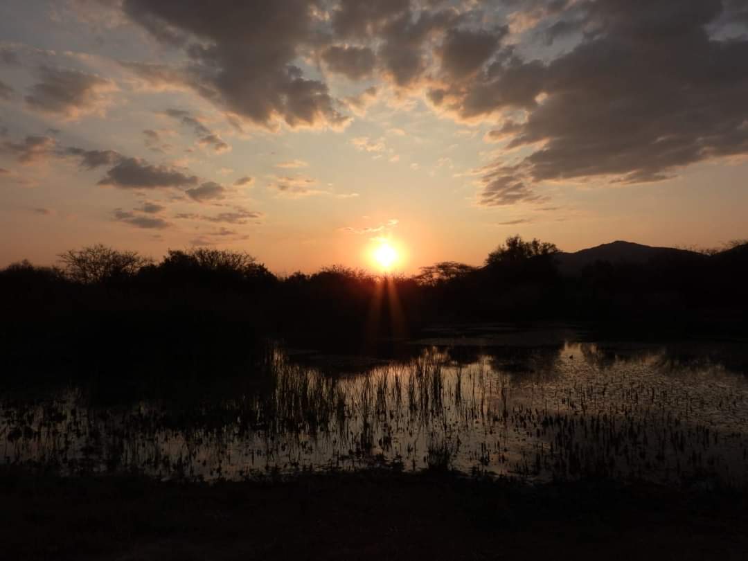 FB_IMG_1659073881099