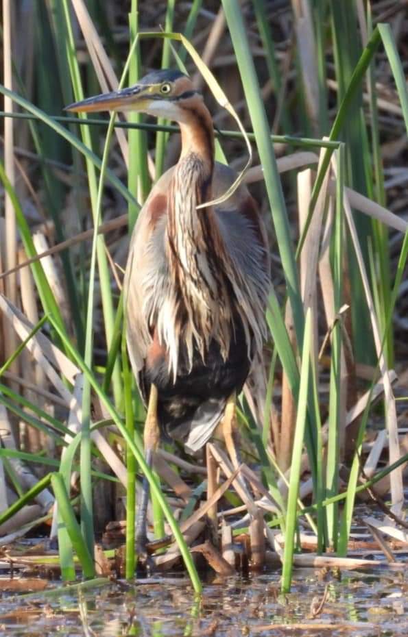 FB_IMG_1660282148380