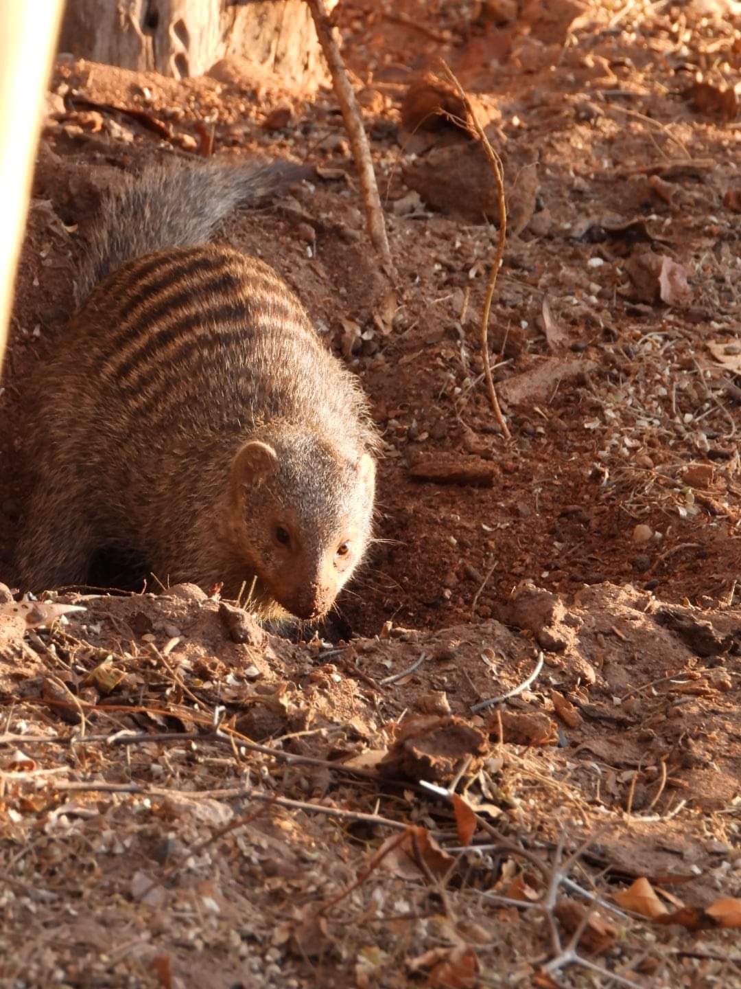 FB_IMG_1660282206813