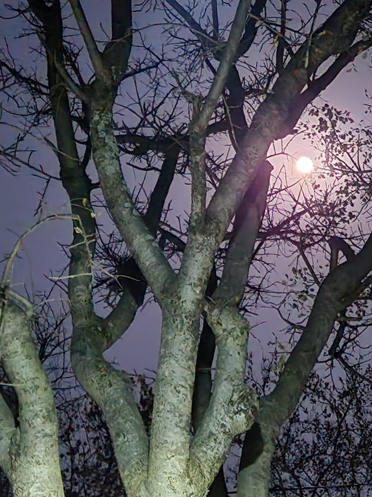 WhatsApp Image 2022-09-11 at 20.58.28