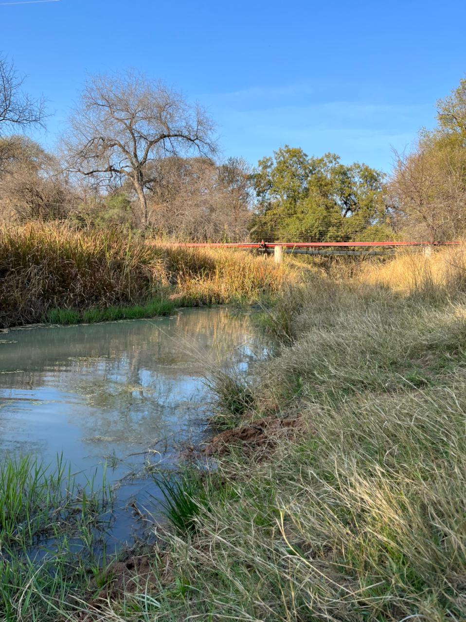 WhatsApp Image 2022-09-13 at 22.11.36 (1)