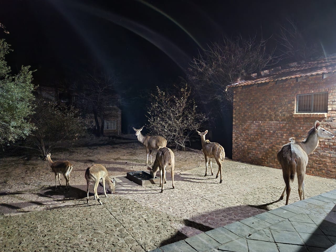 WhatsApp Image 2022-09-13 at 22.11.48 (1)